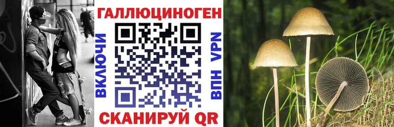Псилоцибиновые грибы Psilocybine cubensis  цена   Златоуст 